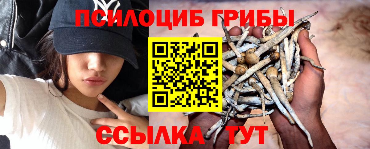 Псилоцибиновые грибы GOLDEN TEACHER  Вход с VPN  Дзержинский 